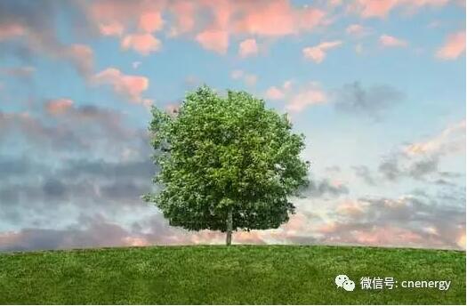 2017年早已過半，資本市場又到了“承前啟后”的總結(jié)時間。本報記者梳理獲悉，截至目前，已有近百家節(jié)能環(huán)保上市公司發(fā)布了年中業(yè)績報