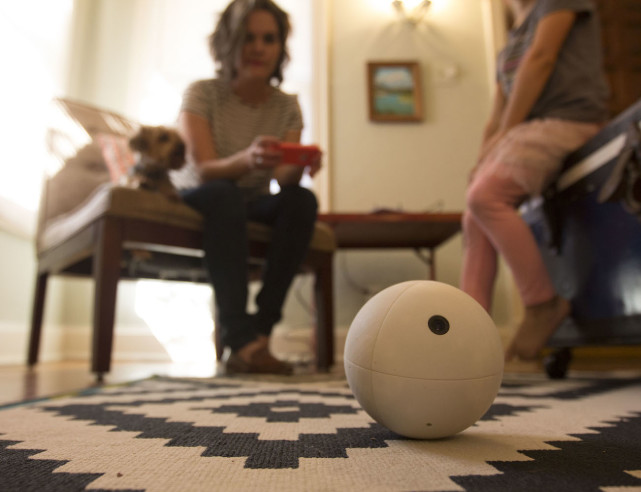
            	接WiFi的orbii能够在家中地板上滚动，精确监控家庭每个角落，内部装置有90度广角镜头，热成像以及夜视摄像头。腾讯数码讯（chares） 集合智能玩具和家庭安全监控功能为一体，orbii小球受到了众多用户的喜爱