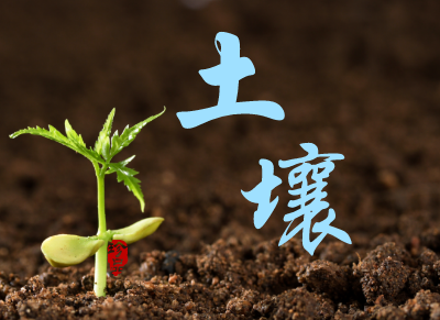             	土壤是经济社会可持续发展的物质基础，加强土壤环境保护是推进生态文明建设的重要内容。而在土壤治理过程中，仪器仪表发挥着巨大的作用，环境监测仪表和土壤监测仪就对土壤污染防治起着不可替代的作用