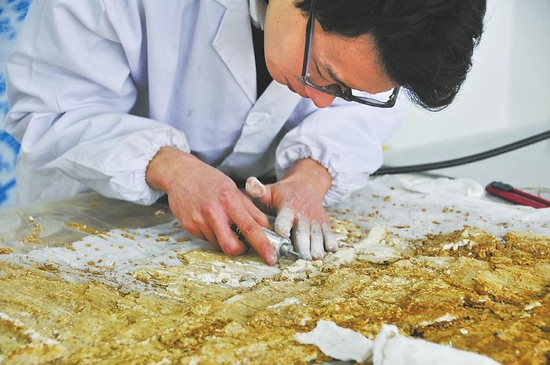 12月5日,四川成都文物考古研究院文保中心对外展示了来自赵廷隐墓的3处壁画。只见清理修复后的壁画呈大块残片状,可以看到色彩颇为鲜丽的凤鸟、水禽、卷云等