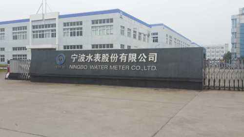 　　 &ldquo;站建了，人来了，企业发展了。&rdquo;宁波水表技术总监、教授级高工姚灵说道