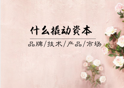             	如何评估一家企业的发展潜力？资本是一个不可或缺的因素。从资本的角度来说，如何能使收益最大化是企业投资的最终目标