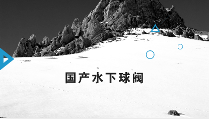　　12月6日，中国海洋石油集团广东湛江分公司海南文昌9-2/9-3/10-3气田群工程项目2台8寸2500磅的国产水下球阀顺利通过出厂验收，并即将运用在文昌10-3气田水下井口管汇，这意味着中国海油在水下阀门国产化方面取得了历史性的突破。&nbsp;&nbsp;　　水下阀门以匣阀与球阀为主，作为水下生产系统的核心设备，对于水下油气资源的开发至关重要
