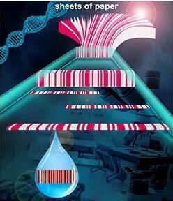             	近日，国家纳米科学中心蒋兴宇研究员、张伟研究员和杨明珠博士通过纸的堆叠和切削加工技术，开发了一种条码化纸基芯片的大规模制造方法和一种可用条码读取器进行结果读出的多重检测方法，为传统材料（纸）的新功能和新应用开发提供了思路。相关研究成果“Skiving stacked sheets of paper into test paper for rapid and multiplexed assay”被Science Advances杂志于2017年12月1日在线发表