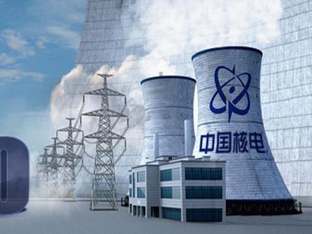                 	                    	截至2017年12月29日06时15分，中国核能电力股份有限公司（以下简称&ldquo;中国核电&rdquo;，）旗下所属核电机组年发电量首次突破1000亿千瓦时，创历史新高；总发电量较2016年同比增长15.7%，公司经营持续向好，安全指标全面受控，业绩实现稳步增长。		目前中国核电在运机组17台，总装机容量1434万千瓦