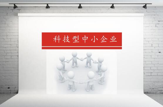             	科技型中小企业是以创新为使命和生存手段的企业。由科技人员领办和创办，主要从事高新技术产品的科学研究、研制、生产、销售，以科技成果商品化以及技术开发、技术服务、技术咨询和高新产品为主要内容，是我国科技发展过程中的一支重要的“主力军”