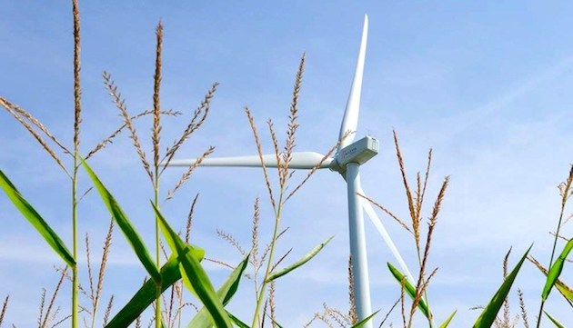             	在印度风电领域引入竞争性招标计划的10个月内，印度风电项目开发商在税率竞标方面出现了大幅调整，降幅达到30％。印度于2017年2月举行了有史以来第一次的国家级风电项目招标，印度太阳能公司（SECI）提供了千兆瓦级的风电招标计划，总计1050兆瓦的发电容量分配给5名项目开发商，最低报价为3．46卢比／千瓦时（5．2美分／千瓦时）