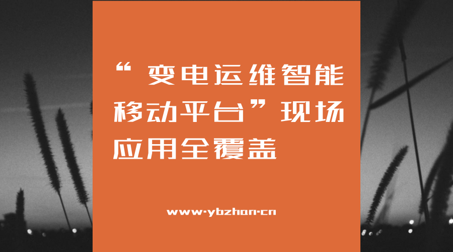 　　1月11日，宁夏石嘴山供电公司变电运维人员运用&ldquo;变电运维智能移动平台&rdquo;对步桥220千伏变电站开展设备巡视工作。该移动平台自2017年开始试运行，现已全面覆盖石嘴山地区所辖60座变电站，并与PMS生产管理系统对接正式启用