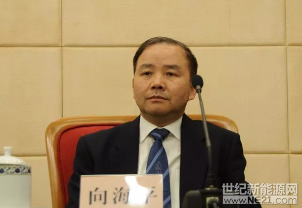 市场监管司司长向海平介绍了2017年12398能源监管热线投诉举报处理情况：一、基本情况。(一)收到有效信息情况