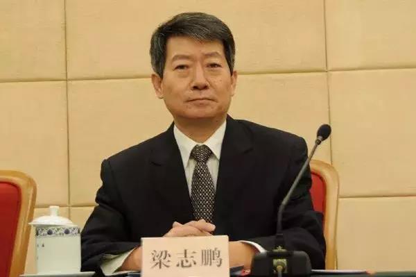 	中国储能网讯：上午10:00，国家能源局召开新闻发布会介绍2017年度新能源并网、投诉举报、放管服改革、清洁取暖规划等相关情况。新能源和可再生能源司副司长梁志鹏在会上介绍了2017年度我国新能源并网情况
