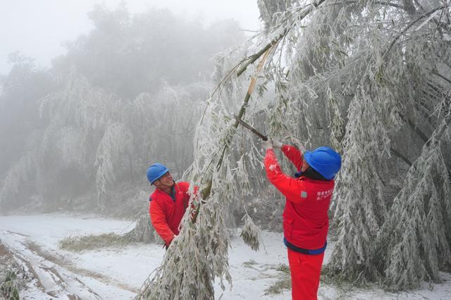 　　1月28日，国网浙江省电力有限公司启动雨雪冰冻三级应急响应，部署防冰抗冰举措，全力抵御雨雪冰冻天气，抢修受损线路，以最快速度恢复供电，保障居民用户用电安全。截止28日10时，全省10千伏及配网线路累计跳闸38次，受影响台区679个，受影响用户31024户