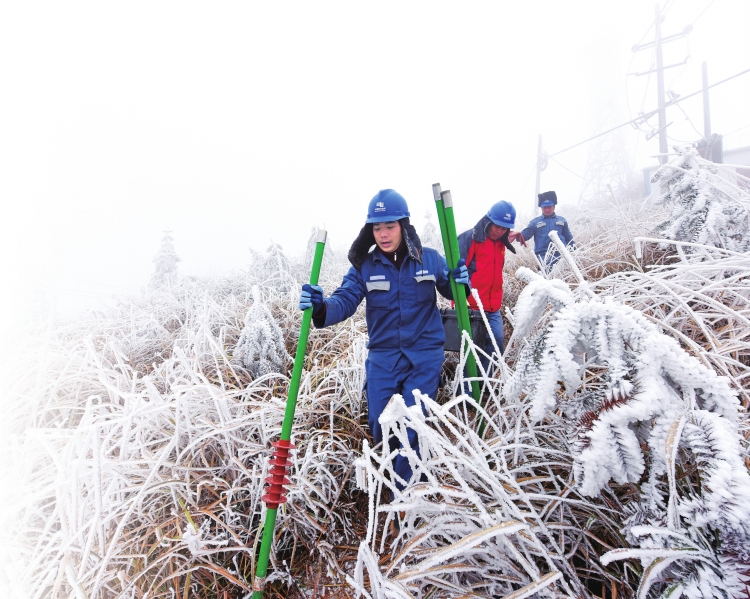 　　1月28日，广西电网公司桂林灵川供电公司大圩供电所设备维护班工作人员何斌、秦瑞华、赵文刚在10千伏大境乐育线85号杆地段进行特巡。　曹文 张梁 摄　　编者按：近日，南方迎来入冬以来影响范围最广、持续时间最长的低温雨雪天气，南方多省份开启&ldquo;冰冻&rdquo;模式