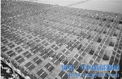 图为1月28日航拍的江苏省南通市首个光伏生态农业大棚示范项目。
该生态农业光伏大棚示范项目装机容量814.2KW,在占地约1.2万平方米的农田内架设4.855米高的钢结构,顶部安装2760块295wp的单晶硅光
