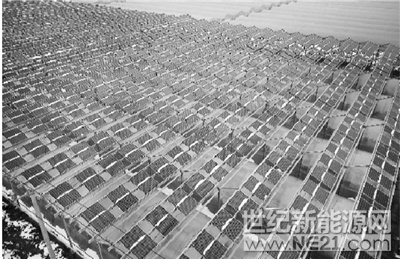 &nbsp;图为1月28日航拍的江苏省南通市首个光伏生态农业大棚示范项目。该生态农业光伏大棚示范项目装机容量814.2KW，在占地约1.2万平方米的农田内架设4.855米高的钢结构，顶部安装2760块295wp的单晶硅光伏组件，共覆盖18个蔬菜大棚