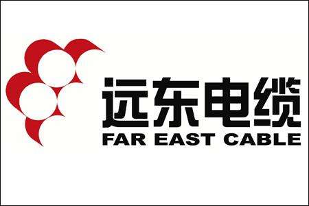                 	                    	日前，2017年度江苏省&ldquo;自主工业品牌&rdquo;五十强企业发布，远东智慧能源股份有限公司（简称：智慧能源 股票代码：600869）全资子公司远东电缆有限公司（简称：远东电缆）榜上有名。这也是远东电缆第二次上榜