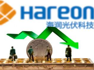                 	                    	2月1日早盘开盘后，*ST海润以跌停价开盘，股价报于0.97元。跌破1元面值的*ST海润，终于成了A股12年以来的第一只&ldquo;仙股&rdquo;