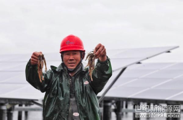 

2018年1月末，廣東遭遇強(qiáng)冷空氣，全省進(jìn)入一年來最冷的一周，氣溫降到8度以下，這對(duì)于靠天吃飯的水產(chǎn)養(yǎng)殖農(nóng)戶來說，是一件煎熬的事情。尤其是蝦類養(yǎng)殖，由于天氣不穩(wěn)定等因素，市面上出現(xiàn)了許多“養(yǎng)蝦難，掙不到錢”的聲音，養(yǎng)殖積極性不高