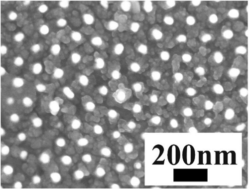 　　近日，中国科学院安徽合肥物质科学研究院固体物理研究所纳米材料与纳米结构研究室研究员费广涛课题组，在等离子增强宽波段光电探测器研究方面取得进展，相关研究成果发表在Journal of Materials Chemistry C上。&nbsp;金纳米棒阵列修饰的硫化铅薄膜的扫描示意图&nbsp;　　作为传统的红外材料，硫化铅广泛应用于红外探测领域
