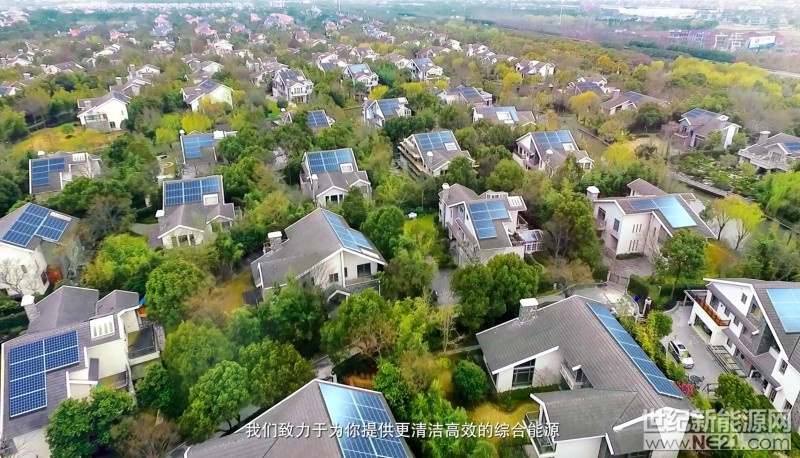 金鸡辞岁，瑞犬迎春。万家团圆时刻，繁星点点照临