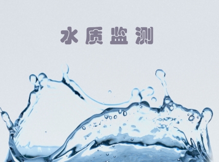             	随着可持续发展理念的提出，环境治理是近年来政府工作的重点。从我国整个环境发展趋势来看，目前我国水环境形势依然十分严峻，水污染物的排放总量仍然巨大