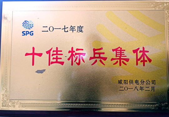                  近日，从咸阳供电分公司2017年先进集体评选工作会传来喜讯，淳化县供电分公司35KV保线站喜获“十佳标兵集体”荣誉称号。2017年，淳化县供电分公司35KV保线站认真贯彻上级的决策部署，不断夯实安全巡线工作，坚持“三个服务”，紧扣公司中心工作创先争优，做实各项工作任务，取得了显著的成效，是该公司部门站所学习的标兵班组
