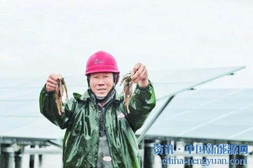                                                                                                                                                 	　　&ldquo;水田飞白鹭&rdquo;是诗里的水乡意境，如今，在广东汕尾的赤坑镇，蓝色光伏板和水面的呼应之处，随处可见白鹭，构成人工和自然和谐相处的诗中美景。	　　随着光伏行业的不断发展创新，渔光互补模式已在多