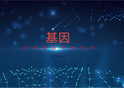             	2018年伊始，《Nature Biotechnology》上发布的一项研究报告称，科学家们使用一部手机大小的测序仪 MinION ，完成了对人类基因组的测序。该仪器上的基因测序通过识别DNA单个分子在流过纳米孔膜时流量的变化实现，每次可读取一百万个DNA字母