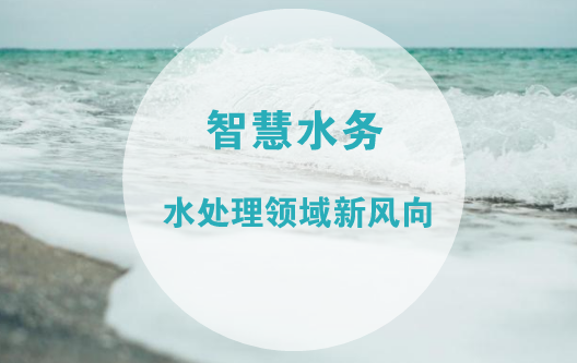 　　随着物联网技术的蓬勃发展，传统产业形态和人们的生活方式发生了改变，也催生了与民生息息相关的供水供电行业的管理模式不断向智能化、网络化转变。业界普遍认为，智慧水务解决方案可以帮助水务公司及时发现管网漏损，降低漏损带来的经济损失，减少管网漏损的管理成本
