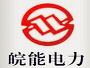                 	                    	近日，皖能电力披露，公司拟发行可转债募集资金不超过40亿元（含40亿元），扣除发行及相关费用后的募集资金净额全部用于收购皖能集团所持有的神皖能源49%股权。该部分股权的预估投资总额为45.99亿元，差额部分皖能电力将通过自筹资金解决