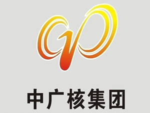                 	                    	日前，为进一步推动广东省海上风电产业高质量发展，由中广核牵头，中国能建集团广东火电工程有限公司、中国能建集团广东省电力设计研究院、中交第四航务工程局、广东水电二局、中国建筑第二工程局、明阳智慧能源集团等在粤企业共同参与，立足广东海上风电市场，组建了全国首个海上风电工程服务AE团队。		中广核副总经理束国刚表示，AE概念源于美国，含义为设计建造一体化