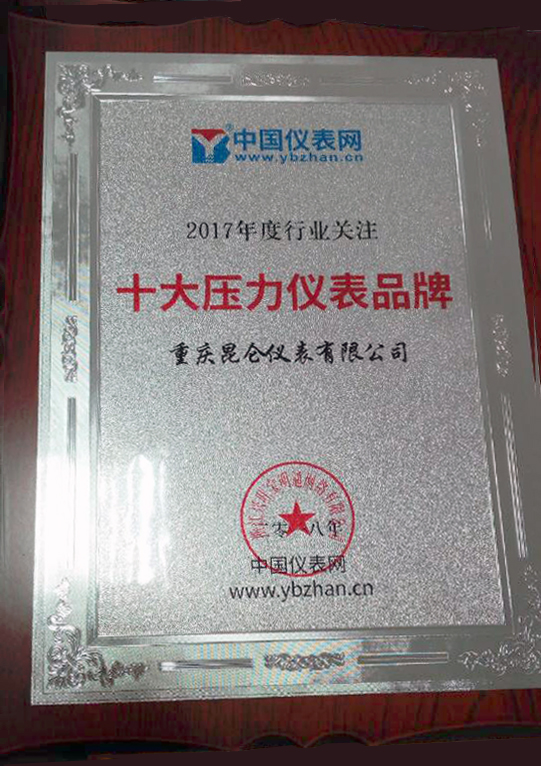 　　2018年1月5日，备受瞩目的&ldquo;2017年度仪表行业线上年度盛典&rdquo;之&ldquo;十大压力仪表品牌&rdquo;评选落下帷幕。其中，重庆昆仑仪表有限公司凭借出色的产品及优质的售后服务成功入选&ldquo;十大压力仪表品牌&rdquo;！&nbsp;&nbsp;　　随着当前科学技术的进步和工业自动化的发展，压力仪表在工业生产自动化控制中的重要性越发突出