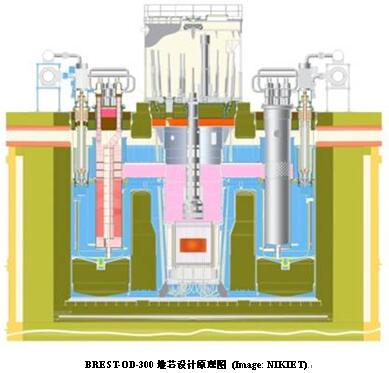 据《世界核新闻》2月27日报道，俄罗斯国家原子能公司（Rosatom）总经理阿列克谢o利哈乔夫向普京总统报告国家核"创新"，通过铅冷快堆实现核燃料"闭路循环"的进展。根据克里姆林宫发布的会议记录，2月27日，普京单独接见阿列克谢o利哈乔夫（Alexey Likhachov），听取核能"创新"汇报