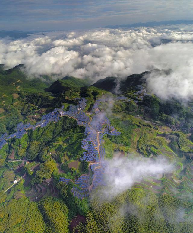 国网浙江电力员工主动对接服务的丽水山区光伏电站顺利投产。郑建摄
温州南麂岛离网型微电网示范工程、绍兴上虞交直流混合微电网示范工程、嘉兴城市能源互联网综合试点示范项目、京杭大运河绿色岸电全覆盖示范项目、沃尔沃小镇区域能评示范项目……在国网浙江省电力有限公司,一大批为满足终端客户多元化能源生产与消费而生的工程项目正在稳定运行中;为适应能源发展趋势,国网浙江电力将原国网浙江浙电节能服务有限公司更名为国网浙江综合能源服务有限公司(以下简称“浙电能源”