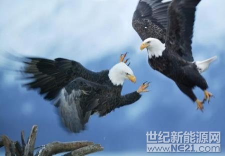 &nbsp;自2016年光伏市场重心开始偏向于分布式，整体的市场基调与方向在两年内已经基本明朗。通过分析2017年上市企业财报，可以看出多数光伏企业已将大部分精力和财力投入到决战分布式市场