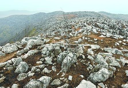 原标题：【州市】文山探索石漠化治理经验            最近以来，面对有着“地球癌症”之称的石漠化治理难题，文山人民不等不靠，充分发扬“西畴精神”，紧紧围绕努力建成石漠化地区生态文明示范区的战略目标，创新石漠化综合治理举措，实实在在干出了一条具有文山特色的治理经验。  国土面积31456平方公里的文山是典型的岩溶地区，根据2012年全国第二次石漠化监测成果显示，文山州岩溶面积13529平方公里，占国土面积的43.01%，岩溶面积居全省第一位，是全国、全省石漠化防治的重点区域
