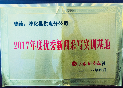 《三秦網(wǎng)》、《三秦都市報》授予2017年優(yōu)秀新聞采寫實訓(xùn)基地，同時該公司王鋒被評授予“優(yōu)秀通訊員”光榮稱號。2017年，為把握正確輿論導(dǎo)向，培養(yǎng)通訊宣傳方面人才，樹立和宣揚公司良好形象，淳化縣供電分公司一直以來致力于認(rèn)真落實集團(tuán)公司和市公司黨委有關(guān)工作部署，在不斷提高各級專兼職通訊員思想素質(zhì)和業(yè)務(wù)能力的基礎(chǔ)上，通過硬性指標(biāo)績效考核，不斷激發(fā)大家的寫稿、投稿積極性，很好地促進(jìn)了公司宣傳報道工作的健康開展，被據(jù)不完全統(tǒng)計，2017年，在全公司通訊員的共同努力下，共在各類各級報紙、網(wǎng)站等媒體共刊發(fā)稿件1000 