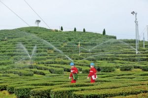 　　浙江泰顺县供电公司工作人员深入各茶叶生产基地，义务排查用电线路隐患。项静静 摄　　仅凭一张身份证就能完成新房电表过户手续，通过手机APP就能&ldquo;一次都不跑&rdquo;开具电子发票，根据客户线上线下行为积累的海量数据形成360度画像，定制个性化营销服务&hellip;&hellip;全面聚焦客户需求，创新服务模式，这些国家电网公司在新时代实践&ldquo;人民电业为人民&rdquo;的场景，已在浙江成为现实