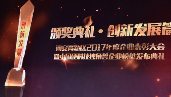 　　【中国仪表网 仪表企业】4月20日下午，西安高新区2017年度企业表彰大会在高新会议中心千人会堂隆重举行，市委常委、高新区党工委书记、航天基地党工委书记钟洪江、高新区管委会主任杨仁华以及王斌、王宽让、杨念田、史康度、贾长舜、李亚红等高新区领导出席大会并为获奖企业代表颁奖。会上，定华电子(股票代码：837793)与中国西电集团、中船重工705所等14家知名科技企业一起，荣获&ldquo;西安高新区自主创新示范单位&rdquo; 