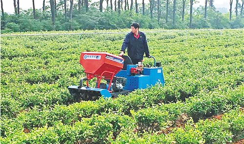  　　御庭春茶场工人正在用小型机械作业。 刘 慧摄　　2018年是我国推广有机肥替代化肥试点的第二年，率先在果菜茶领域进行的试点，一年就实现了有机肥用量增加50%
