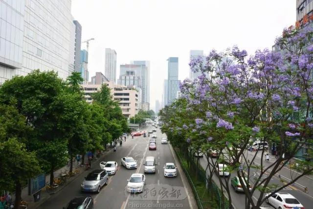 原标题：生态|成都：一个绿色低碳的城市正在长大             二十里路香不断，青羊宫到浣花溪。绿色低碳发展，生态本底正逐渐浸润成都人的新生活，也在重塑一座城市的发展新格局