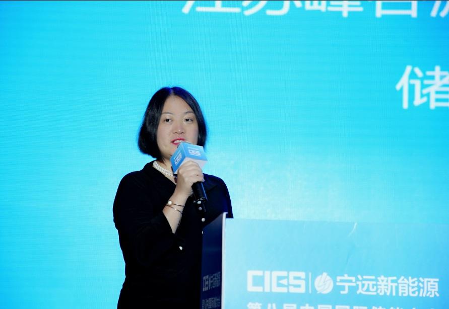 			中国储能网讯：5月19日至21日，“第八届中国国际储能大会”在深圳隆重召开， 来自中国、美国、德国、英国、加拿大、西班牙、日本、韩国、澳大利亚等国和地区1500余位政府机构、科研院所、行业组织、电力公司、新能源项目单位、系统集成商等代表出席本次大会。				江苏峰谷源储能技术研究院有限公司总经理章宁琳在储能电站专场，以“浅谈可再生能源发电以及储能综合应用模式分析”为题，发表了精彩的主题演讲