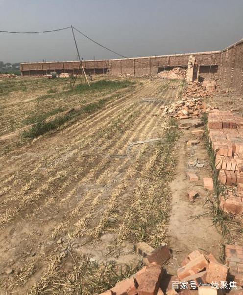 原标题：河南封丘建设新能源发电厂违规占耕地几百亩群众怨声载道            中国新能源资源丰富，具有大规模开发的资源条件和技术潜力，可以为未来社会和经济发展提供足够的能源，开发利用可再生能源大有可为，本来是利国利民的好项目，可是在新乡市封丘县却出现了不和谐的一幕。 近日，有封丘县王村乡群众向本网反映称，我们这里的两百多亩即将成熟的小麦被毁坏了，希望新闻媒体关注此事