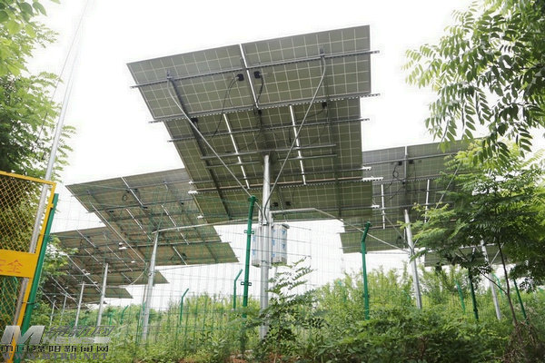 太阳能光伏板财经日历资讯快递贵金属模拟交易贵金属专家直播室金投网贵金属行情软件