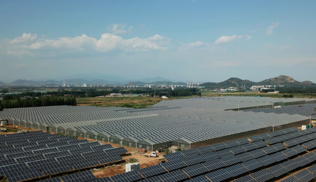 这是秦皇岛市抚宁区坟坨管理区的20兆瓦“农光互补”光伏发电厂内的智能光伏温室（5月30日无人机拍摄）。财经日历资讯快递贵金属模拟交易贵金属专家直播室金投网贵金属行情软件