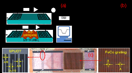 　　【中国仪表网 仪表研发】在当今的信息社会中，磁场传感器已成为信息技术和信息产业中不可缺少的基础元件。&nbsp;&nbsp;　　图1(a)声表面波磁场传感器的基本结构，(b)传感器件响应，(c)沉积栅阵化铁钴薄膜的传感器件&nbsp;&nbsp;图2 沉积铁钴薄膜与栅阵的传感器性能对比，(a)磁滞误差测试，(b)灵敏度测试&nbsp;　　目前，人们已研制出利用各种物理、化学和生物效应的磁场传感器，并已在科研、生产和社会生活的各个方面得到广泛应用，承担起探究种种信息的任务