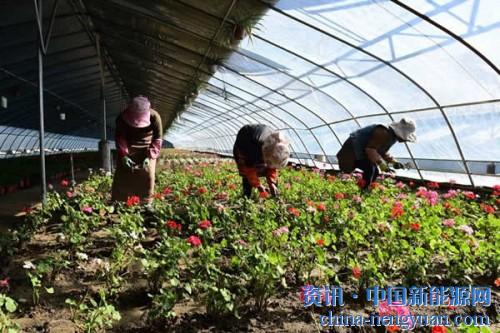                                                                                                                                                                     	　　项目总投资1200万元，已建设光伏电站规模1兆瓦和大棚面积8000多平方米&mdash;&mdash;西藏首个贫困村光伏农场日前在山南市琼结县拉玉乡建成。这一光伏农场在创新农