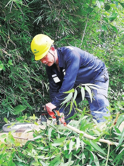 　　台风登陆前一天，为保障高考考点电力供应，广东电网公司茂名高州供电局宝光供电所人员对高州中学线进行特巡特维。图为供电人员在清理树障