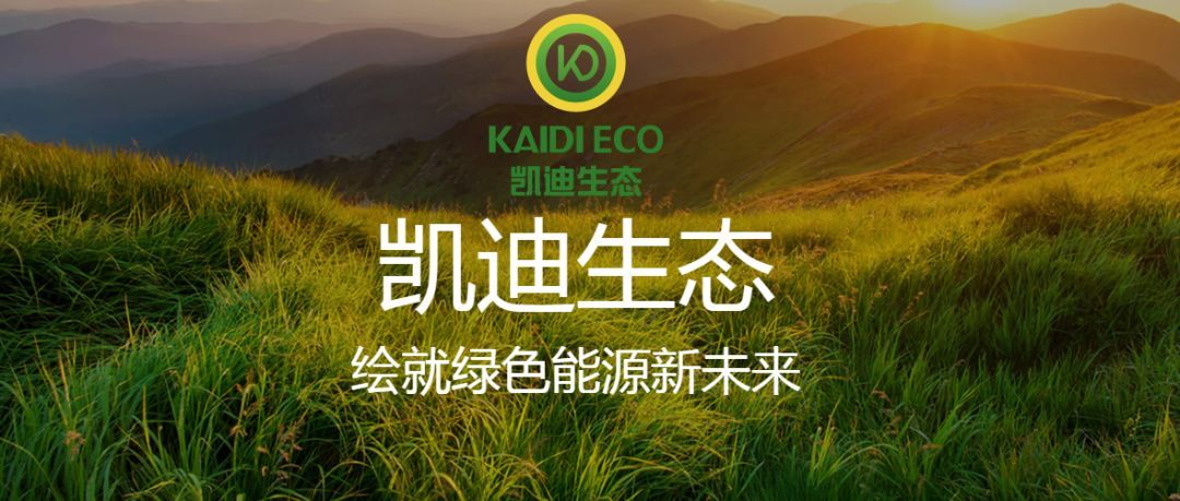原标题：凯迪生态：51个银行账户被冻结，涉诉案件破百            打开凯迪生态的官方网站，映入眼帘的还是那个气势恢宏的一片绿色图景——“凯迪生态绘就绿色能源未来”。  凯迪生态官方网站页面 凯迪生态绘就的绿色能源新未来我们还没有看到，我们却看到了这家公司已经陷入了困境