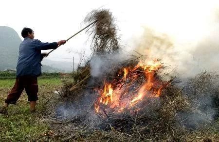 原标题：不要再烧农作物秸秆了，拿去领补贴，最低1万元            对于很多种植小麦、玉米等农作物的一线农民来说，在处理完粮食之后，处理秸秆也是一项头疼的问题。虽然说秸秆的作用很大，将其搅碎后，不仅可以作为工业原料，还可以牲畜饲料，或者做成肥料等用途