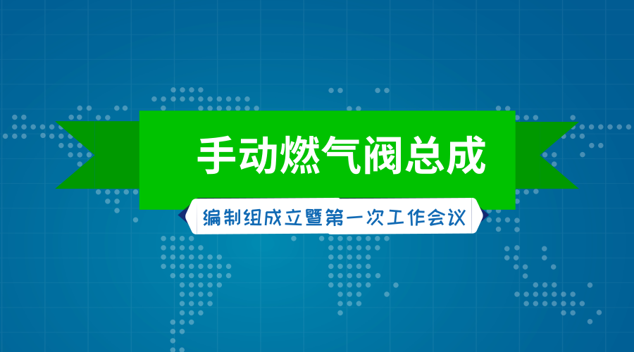 　　【中国仪表网 仪表标准】日前，国家标准《燃气燃烧器和燃烧器具使用安全和控制装置特殊要求手动燃气阀总成》编制组成立暨第一次工作会议在浙江新昌召开。&nbsp;&nbsp;　　会议由住房和城乡建设部燃气标准化技术委员会秘书处主办，浙江新涛智控科技股份有限公司承办